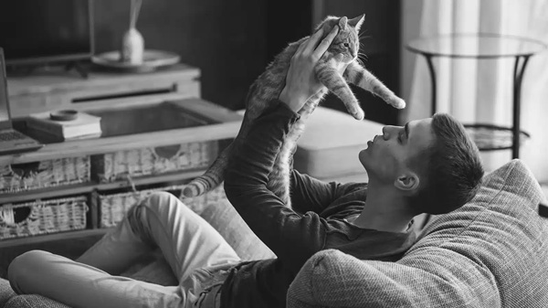 male and the single life